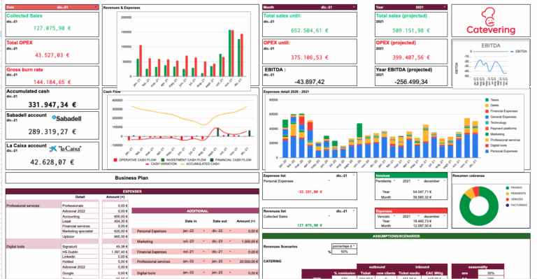 Gráfico financiero que muestra la evolución del cashflow y la proyección de ingresos y gastos según el modelo financiero implementado por Laura Perarnau.